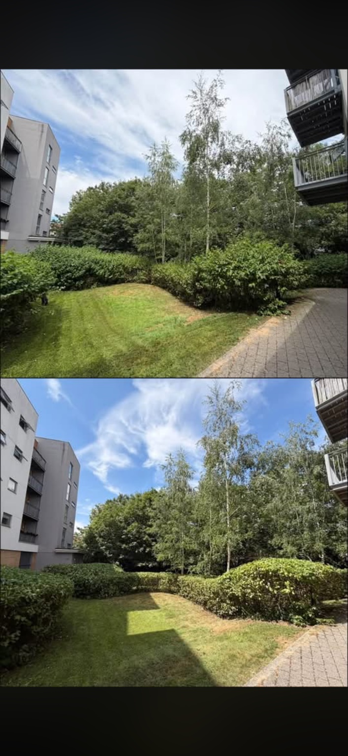 Two views of hedge and shrub work around communal green space.