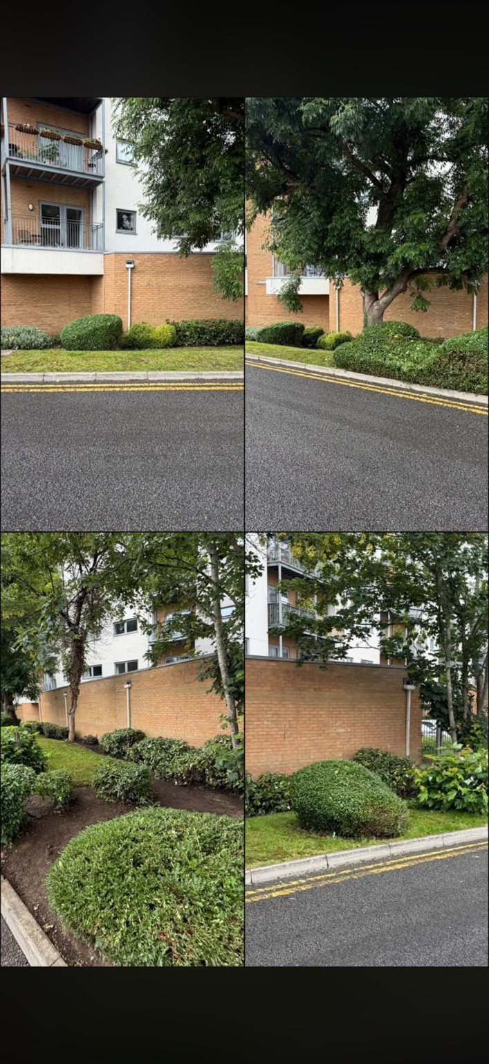 Comparisons of shrub work beside the development’s road and footway.