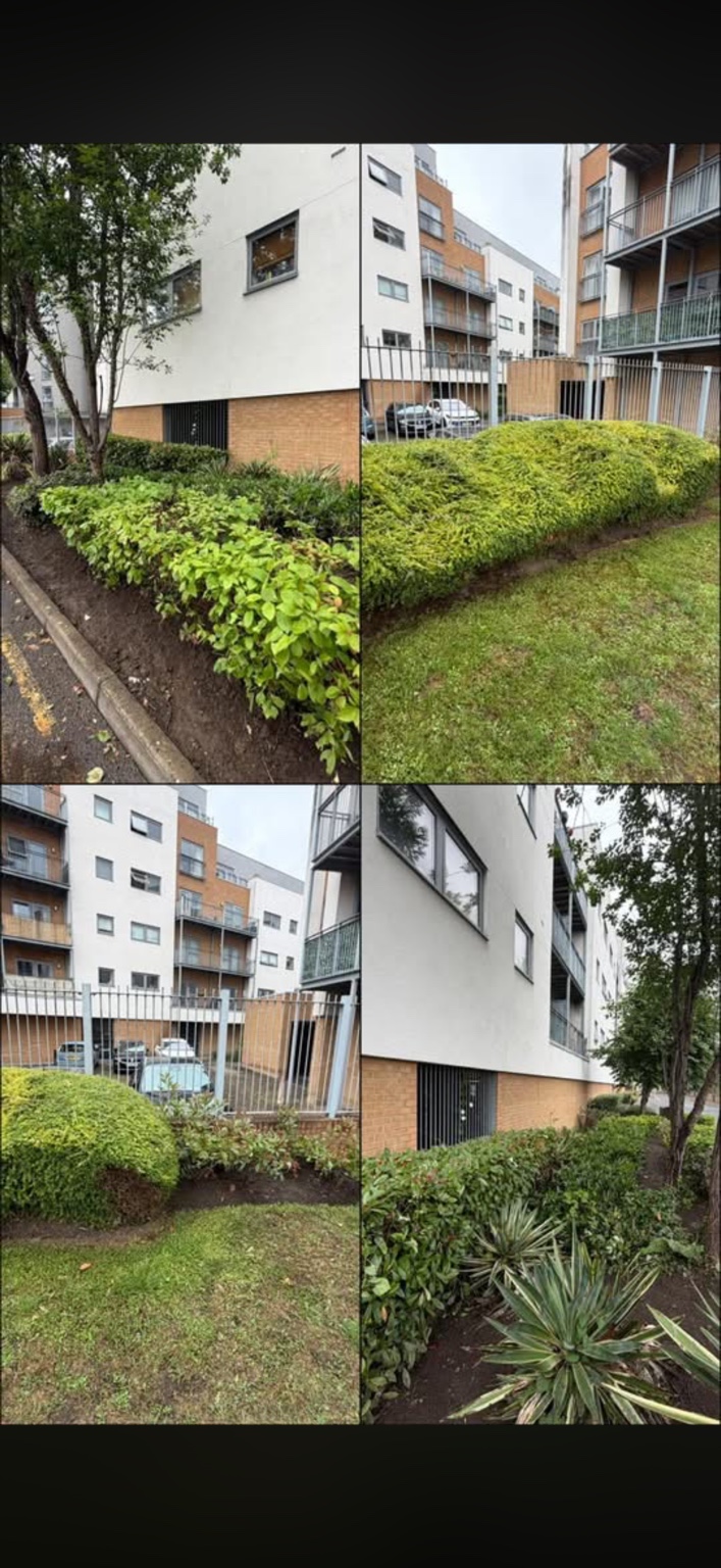 Hedge and planting-bed work across several parts of the grounds.