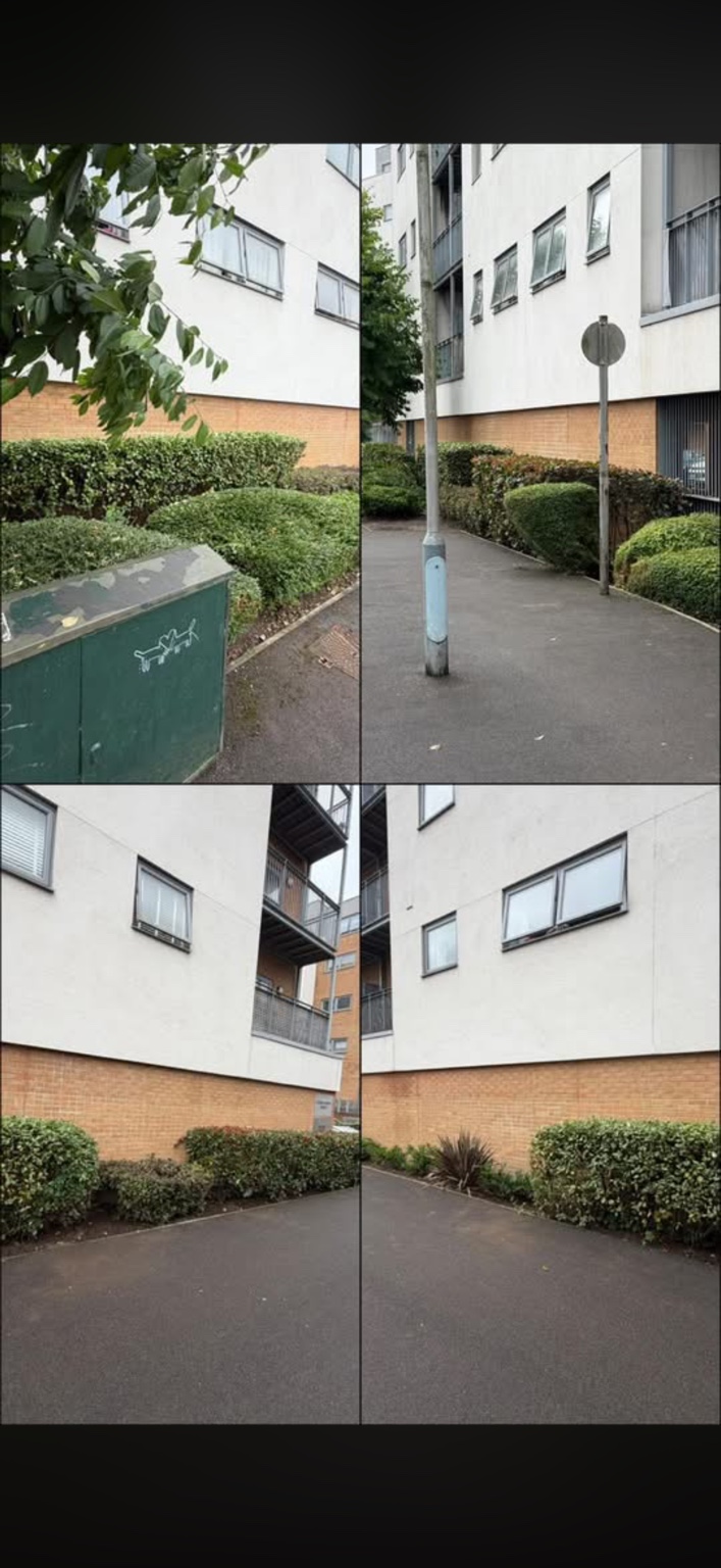 Views of planting beside paths and entrances.