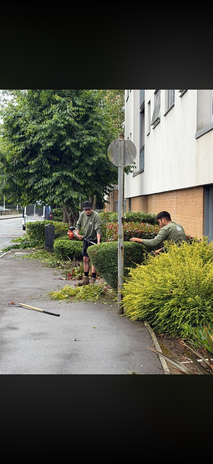 An additional view of the planting and shared access areas.